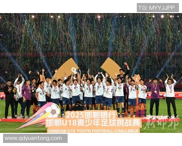低价足球时代来临如何在经济实惠中享受精彩赛事体验 低价足球时代来临如何在经济实惠中享受精彩赛事体验